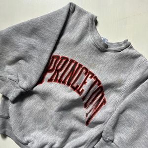 champion princeton university sweatshirt